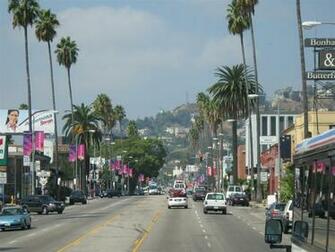 Sunset Blvd HD Wallpaper In Movies Imageci