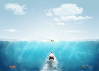 Shark Wallpaper