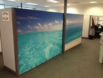 Wallpaper For Cubicles Joy Studio Design Gallery Best