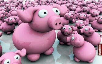 Cute Pigs