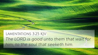Lamentations Kjv 4k Wallpaper The Lord Is Good Unto Them