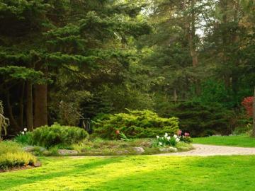 Beautiful Garden HD Desktop Natural Wallp