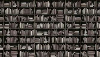 Bookshelf Wallpaper Night Owl