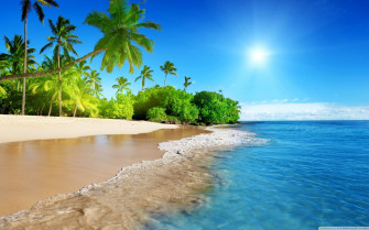 Tropical Island Wallpaper