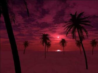 Spring Break Wallpaper