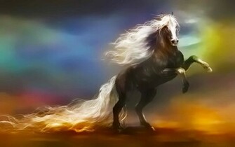 Horse Wallpaper Long Tail Beauty HD