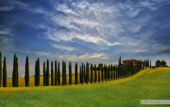 Italy Wallpaper Of Beaches Colosseum Rivers Statues
