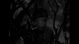 Re Universal Classic Monsters Essential Collection Us Bd