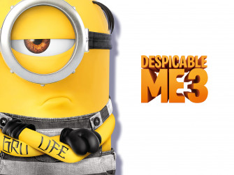 Minion Despicable Me HD Movies 4k Wallpaper Image