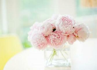 What Is The Big Deal About Mother S Day