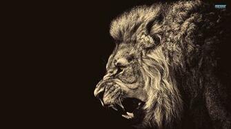 High Quality 4k Wallpaper Wallucky Lion