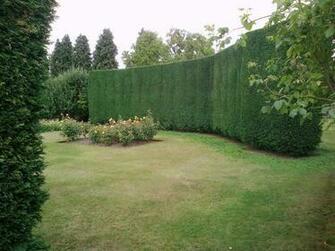 Don T Water The Grass At All Just Mainly Flower Borders Wall
