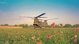 Military Helicopter In Bloom Wallpaper