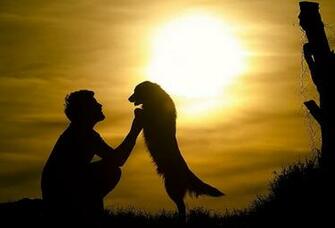 Wallpaper Man Dog Friends Hug Sun Silhouette Desktop
