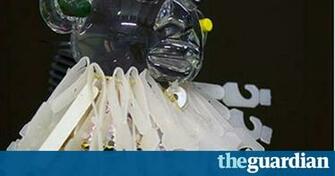 Fire And Rain West African Art Hits Manchester In