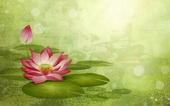 Water Lily Wallpaper