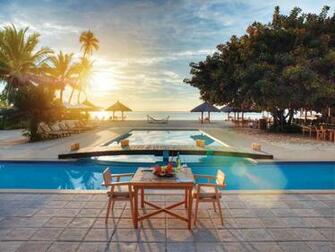 Tropics Sea Palm Trees Vacation Stock Photos Image HD