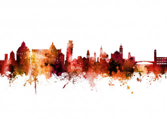 Pisa Italy Skyline Made To Measure Wall Mural Photowall
