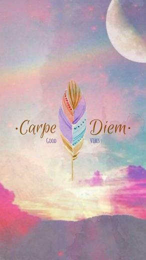 Kristie Colourful Feathers Good Advice Seize The Day