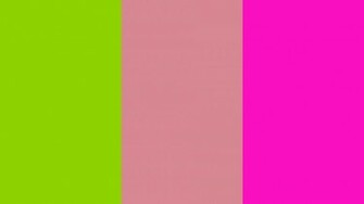 Sheen Green Shimmering Blush And Shocking Pink Three Color Background