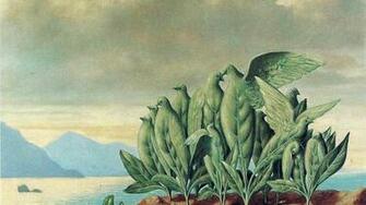 Traditional Art Rene Magritte Belgian Birds Sea Wallpaper