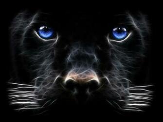 Background Windows Black Panther Big Cat Desktop Wallpaper