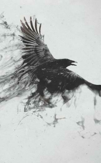 Black Smoke Crow Android Wallpaper