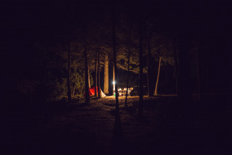 Wallpaper Id Forest Sunset Tree Adventure Spooky