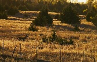 Deer Hunters We Re Killing Ourselves Realtree