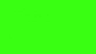 Cute Neon Green Wallpaper Solid Color Background