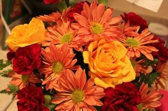 Beautiful Fall Flowers Pictures Color