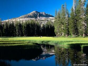 Beautiful Natural Lake In Jungle Side Wallpaper E Entertainment