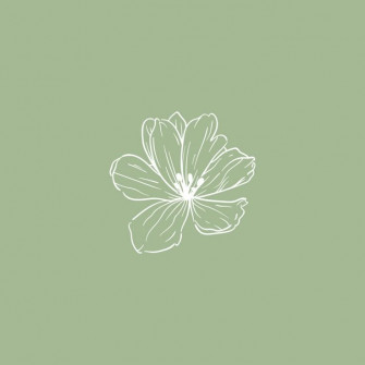 Sage Green Flower Icon Wallpaper
