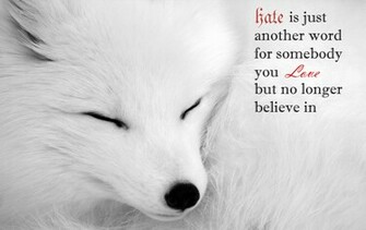 Arctic Fox Computer Wallpaper Desktop Background Id