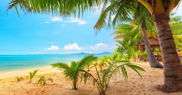 Summer 4k Wallpaper On