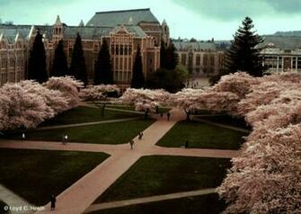 University Of Washington Desktop Background