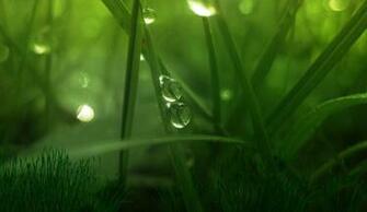 Green World Animated Wallpaper Lisisoft