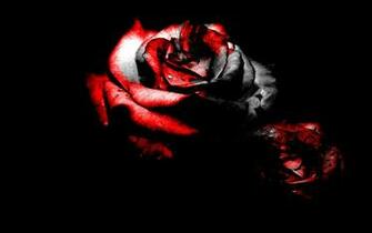 Blood Rose Wallpaper HD For Walls Mobile Phone Widescreen