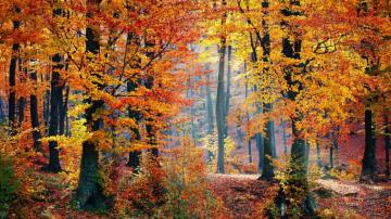 Killington Vermont Wallpaper Teahub Io