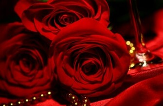 Red Roses Background Wallpaper High Definition Quality