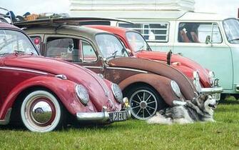 Air Cooled Vw Show Photos Volksworld