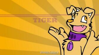 Housepets Image Tiger Wallpaper