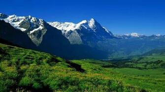 Wonderful Nature