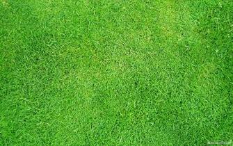 Wallpaper Grass Football Pitches