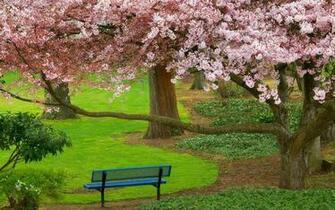 Beautiful Nature Landscape Wallpaper X