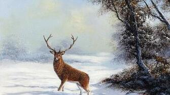 Best Stag Wallpaper