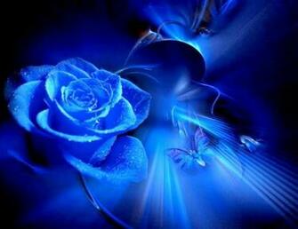 High Resolution Blue Rose And Butterfly Desktop Laptop Wallpaper