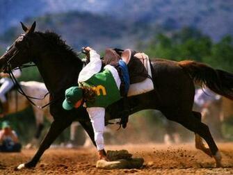 Polo Wallpaper And Image Pictures Photos