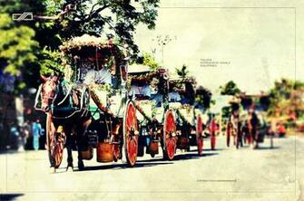 Animals Philippines Horses Manila Intramuros Dndesign