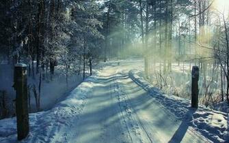 Category Nature HD Wallpaper Subcategory Forest